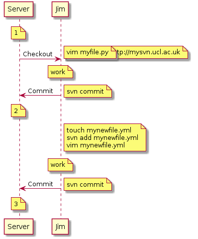 Solo workflow for SVN